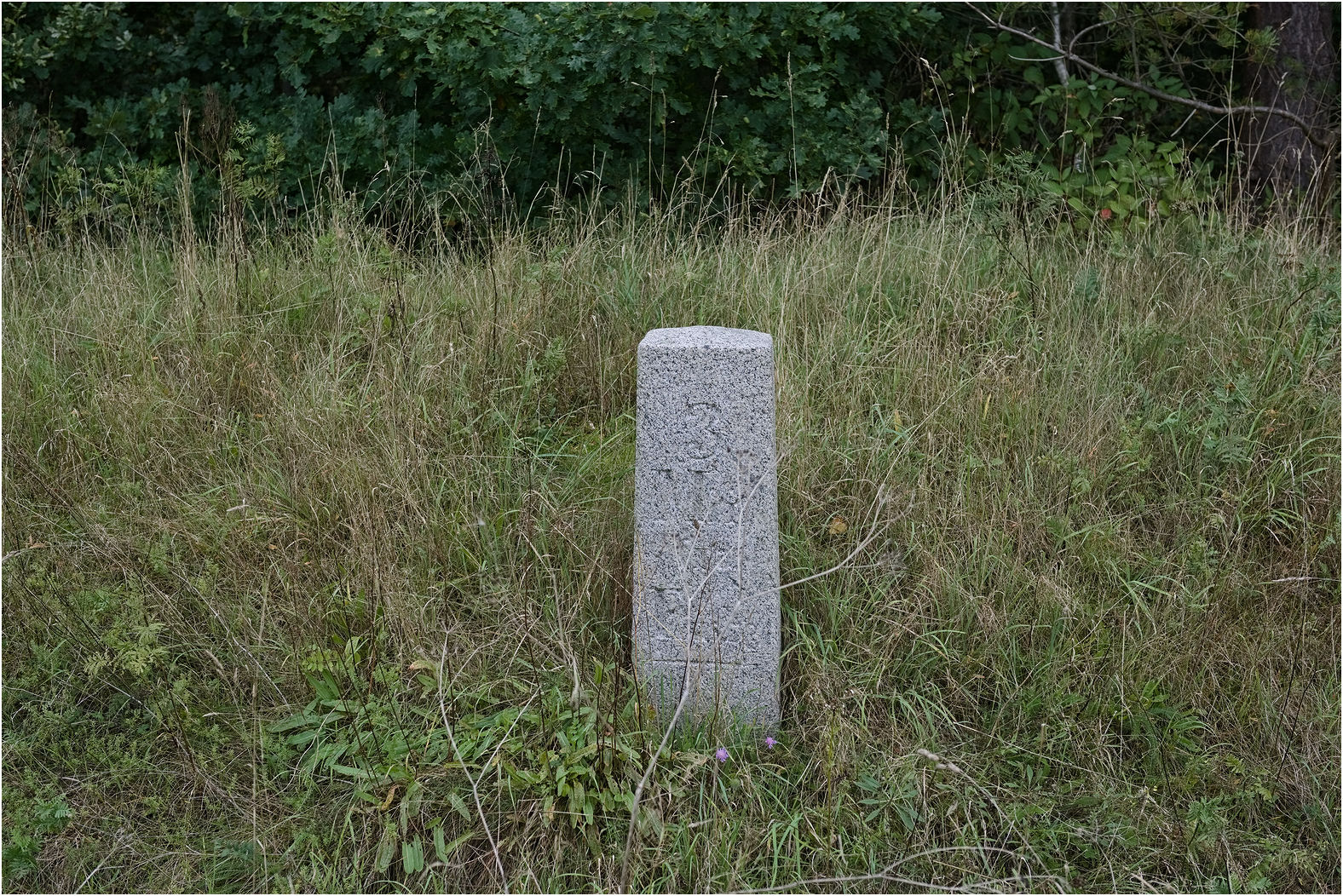 Schleswiger Ganzmeilenstein Sønder Hostrup                 